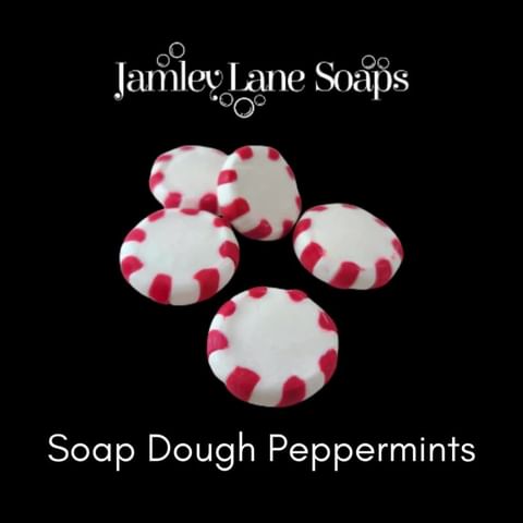Peppermint Soap Dough Extruder Disc 2 Pack